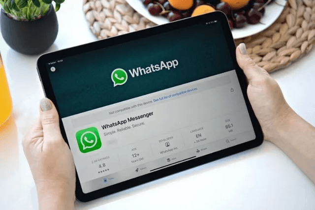Biz buni o'n yildan ortiq kutdik: iPad uchun alohida WhatsApp ilovasi paydo bo'ldi, lekin hali hamma uchun emas.