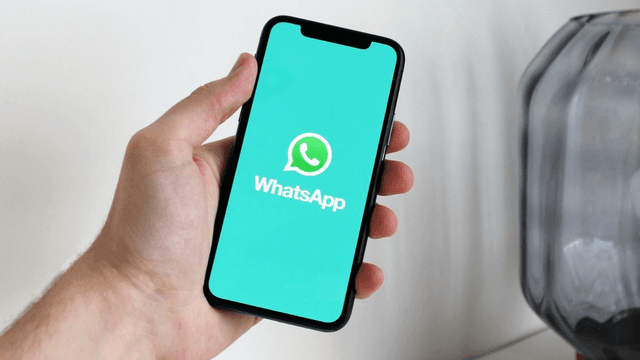 WhatsApp messenjerida suhbatdoshingizga ekraningizni translyatsiya qilish funktsiyasi paydo bo'ladi
